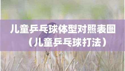 儿童乒乓球体型对照表图（儿童乒乓球打法）