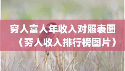 穷人富人年收入对照表图（穷人收入排行榜图片）