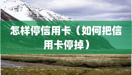 怎样停信用卡(如何把信用卡停掉)
