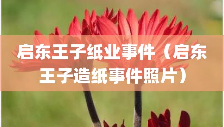启东王子纸业事件（启东王子造纸事件照片）