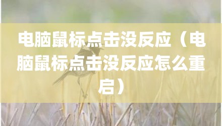 电脑鼠标点击没反应（电脑鼠标点击没反应怎么重启）