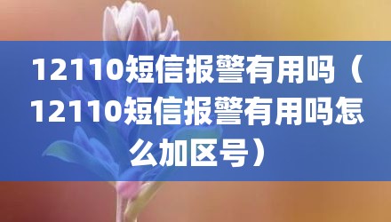12110短信报警有用吗（12110短信报警有用吗怎么加区号）