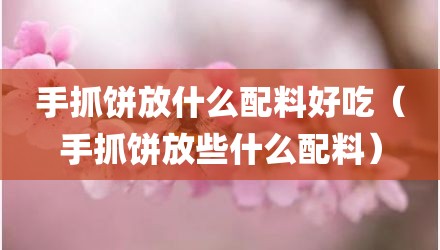 手抓饼放什么配料好吃（手抓饼放些什么配料）