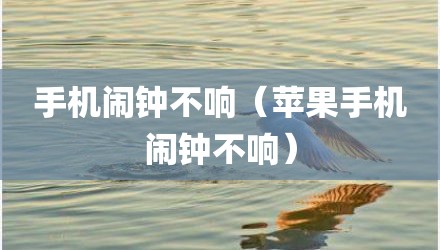 手机闹钟不响（苹果手机闹钟不响）