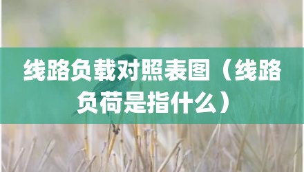 线路负载对照表图（线路负荷是指什么）