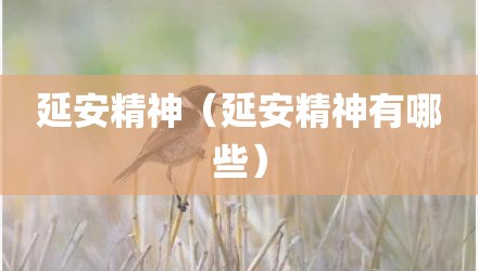 延安精神（延安精神有哪些）