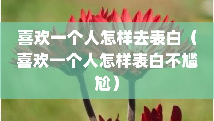 喜欢一个人怎样去表白（喜欢一个人怎样表白不尴尬）
