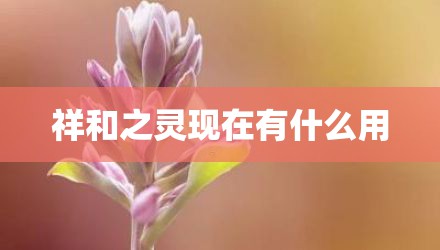 祥和之灵现在有什么用