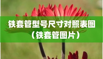铁套管型号尺寸对照表图（铁套管图片）