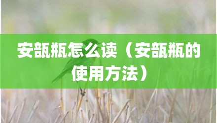 安瓿瓶怎么读（安瓿瓶的使用方法）