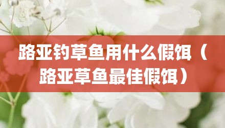 路亚钓草鱼用什么假饵（路亚草鱼最佳假饵）