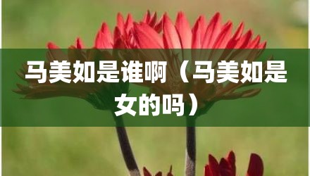 马美如是谁啊（马美如是女的吗）