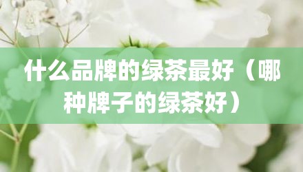 什么品牌的绿茶最好(哪种牌子的绿茶好)