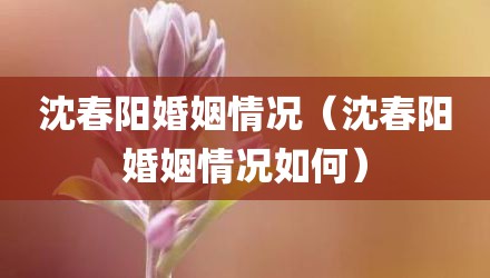沈春阳婚姻情况（沈春阳婚姻情况如何）