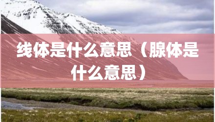 线体是什么意思（腺体是什么意思）