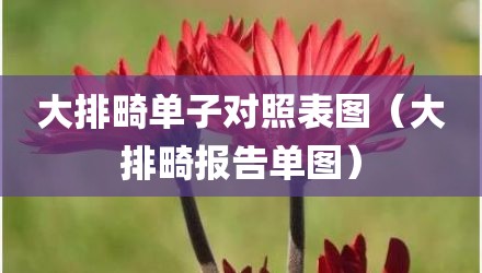 大排畸单子对照表图（大排畸报告单图）