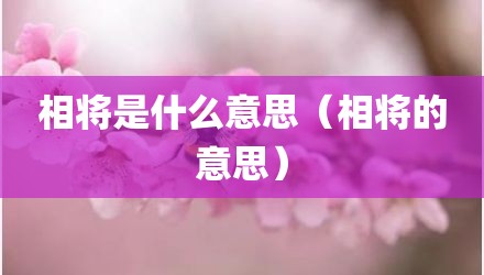 相将是什么意思（相将的意思）