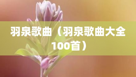 羽泉歌曲（羽泉歌曲大全100首）