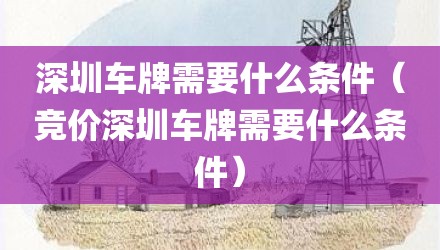 深圳车牌需要什么条件（竞价深圳车牌需要什么条件）