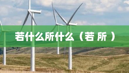 若什么所什么（若 所 ）