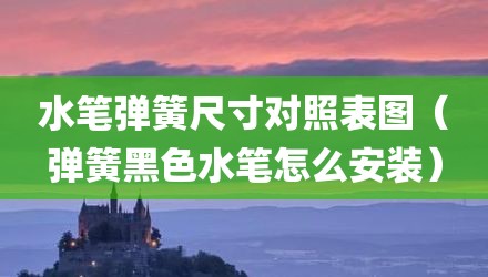 水笔弹簧尺寸对照表图（弹簧黑色水笔怎么安装）