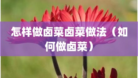 怎样做卤菜卤菜做法（如何做卤菜）