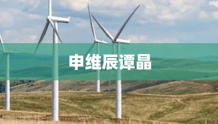 申维辰谭晶
