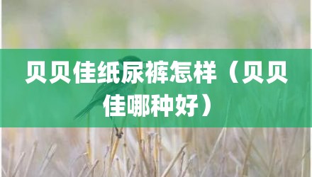 贝贝佳纸尿裤怎样（贝贝佳哪种好）
