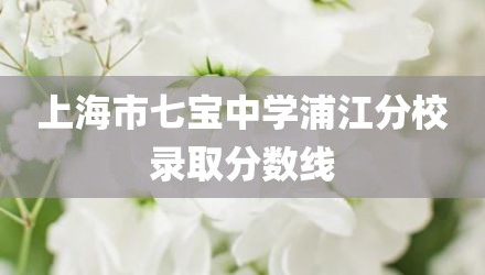 上海市七宝中学浦江分校录取分数线