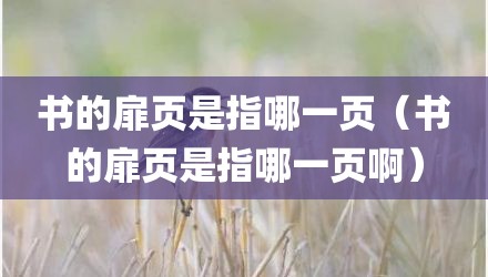 书的扉页是指哪一页（书的扉页是指哪一页啊）