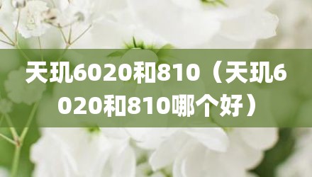 天玑6020和810（天玑6020和810哪个好）