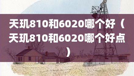天玑810和6020哪个好（天玑810和6020哪个好点）