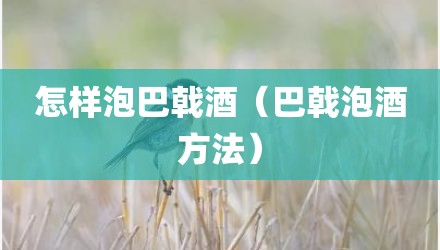 怎样泡巴戟酒（巴戟泡酒方法）