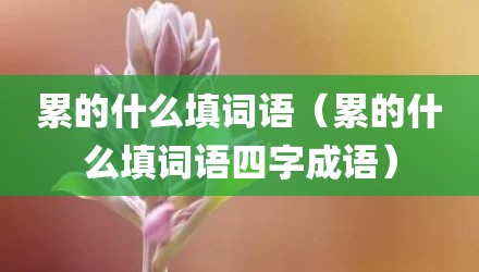 累的什么填词语（累的什么填词语四字成语）