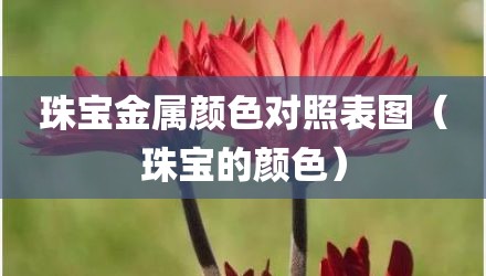 珠宝金属颜色对照表图（珠宝的颜色）