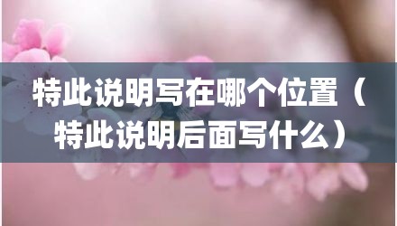 特此说明写在哪个位置（特此说明后面写什么）