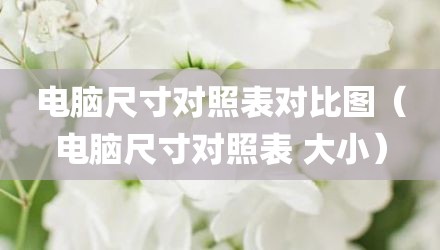 电脑尺寸对照表对比图(电脑尺寸对照表 大小)