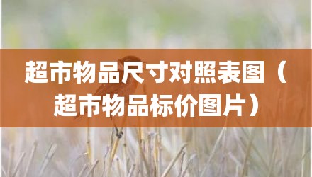 超市物品尺寸对照表图（超市物品标价图片）
