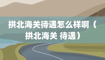 拱北海关待遇怎么样啊(拱北海关 待遇)