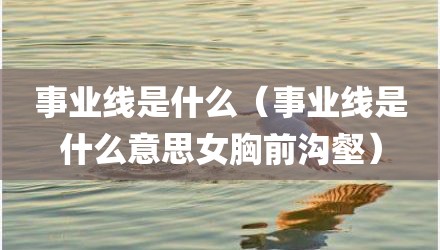 事业线是什么（事业线是什么意思女胸前沟壑）
