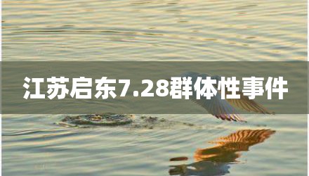 江苏启东7.28群体性事件