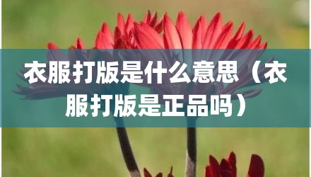 衣服打版是什么意思（衣服打版是正品吗）