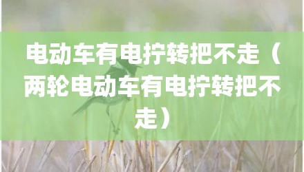 电动车有电拧转把不走(两轮电动车有电拧转把不走)