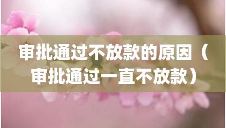 审批通过不放款的原因（审批通过一直不放款）