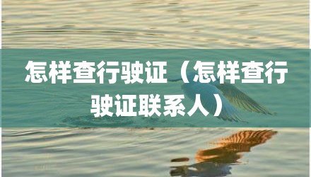 怎样查行驶证（怎样查行驶证联系人）