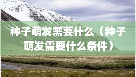 种子萌发需要什么（种子萌发需要什么条件）