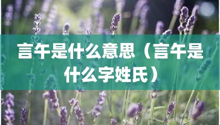 言午是什么意思（言午是什么字姓氏）