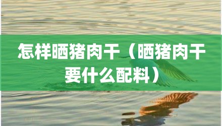 怎样晒猪肉干（晒猪肉干要什么配料）