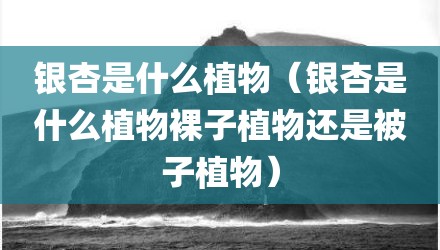 银杏是什么植物（银杏是什么植物裸子植物还是被子植物）