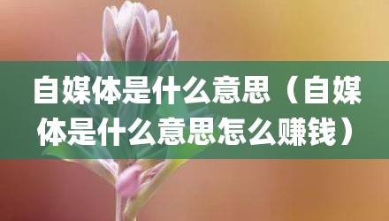 自媒体是什么意思（自媒体是什么意思怎么赚钱）